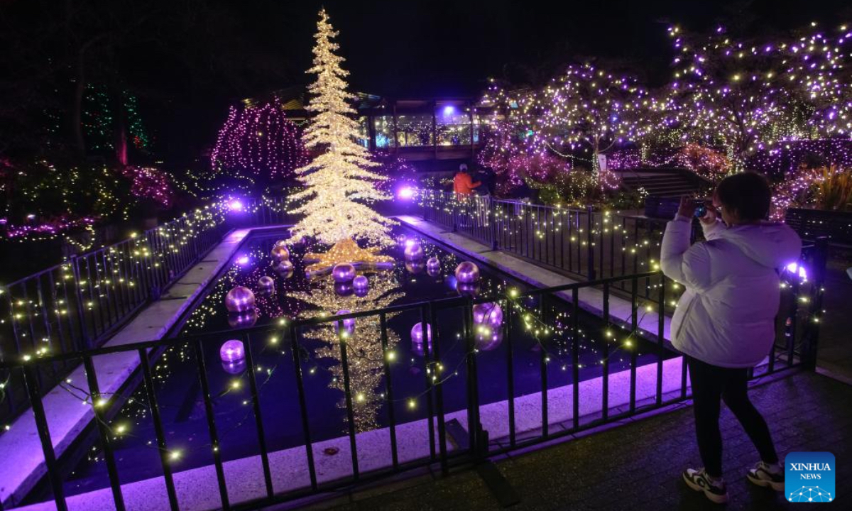 A visitor takes photos of the light installations at VanDusen Botanical Garden during the annual Festival of Lights in Vancouver, British Columbia, Canada, Nov. 28, 2025. The annual holiday event kicked off here on Friday, with over 1 million lights transforming the garden into a dazzling holiday spectacle. (Photo by Liang Sen/Xinhua)