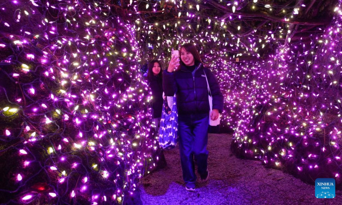 People walk among the light installations at VanDusen Botanical Garden during the annual Festival of Lights in Vancouver, British Columbia, Canada, Nov. 28, 2025. The annual holiday event kicked off here on Friday, with over 1 million lights transforming the garden into a dazzling holiday spectacle. (Photo by Liang Sen/Xinhua)