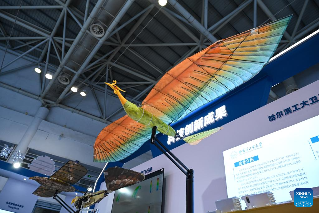 This photo shows a bionic aircraft displayed at the Third Overseas Chinese Talent Conference for Development in Fuzhou, southeast China's Fujian Province, Dec. 1, 2025. Under the theme of Uniting Overseas Chinese Talent, Forging a New Era of Innovation, the Third Overseas Chinese Talent Conference for Development kicked off here on Monday. (Xinhua/Zhou Yi)
