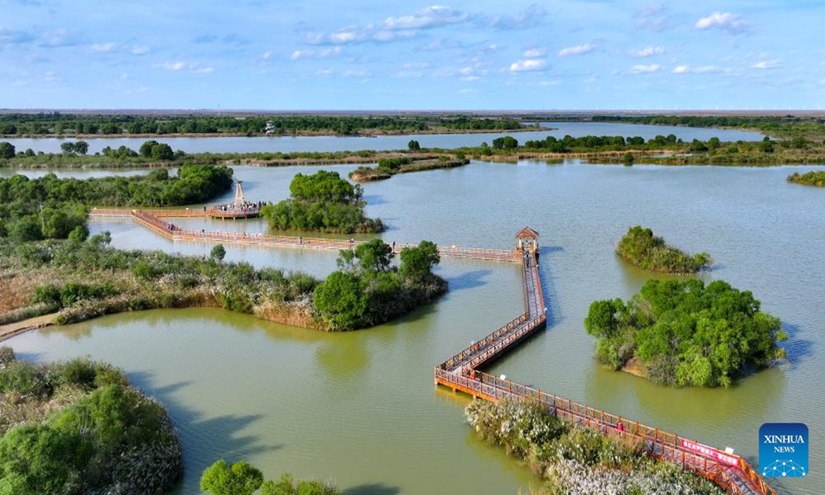 A drone photo taken on Oct. 20, 2025 shows a view of Yellow River Estuary in Dongying, east China's Shandong Province. In recent years, Shandong Province has launched initiatives to build beautiful bays through nearshore pollution control, marine ecosystem protection, and coastal environment improvement. The overall quality of the marine ecology here has continued to improve, and six bays across the province have been recognized as outstanding examples of beautiful bays by the Ministry of Ecology and Environment. (Photo: Xinhua)