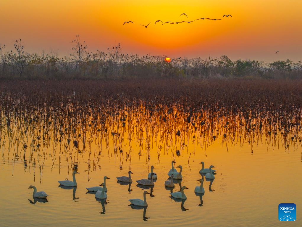 Tourists visit the Mingsha Mountain and Crescent Spring Scenic Area in Dunhuang City, northwest China's Gansu Province, Nov. 30, 2025. (Photo by Zhang Xiaoliang/Xinhua)