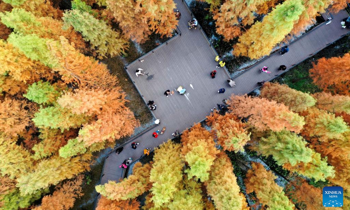 An aerial drone photo shows people having fun at a wetland park in Bozhou District of Zunyi City, southwest China's Guizhou Province, Nov. 30, 2025. (Photo by Li Renjun/Xinhua)