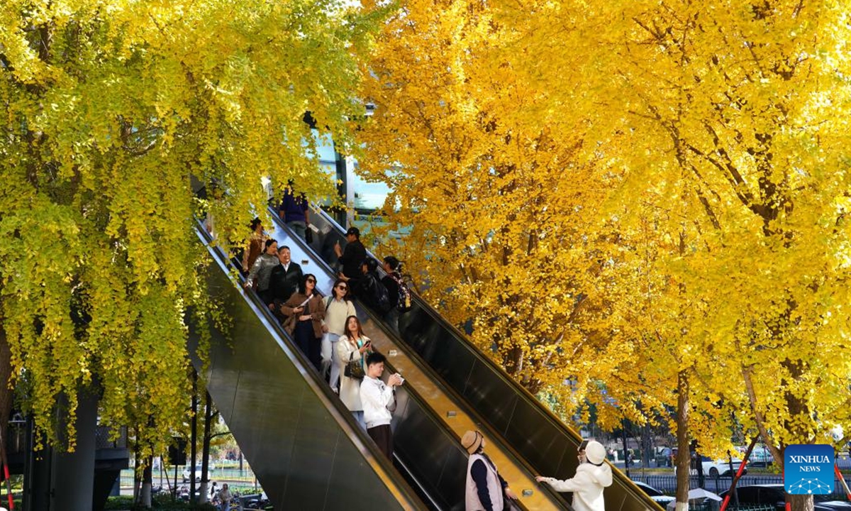 People take photos on an escalator among ginkgo trees in Hangzhou City, east China's Zhejiang Province, Nov. 30, 2025. (Photo by Zhuang Yingchang/Xinhua)