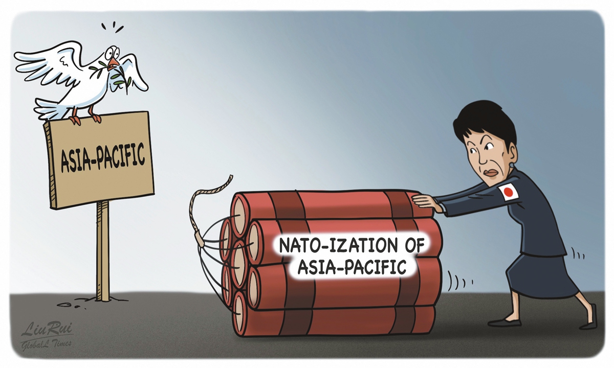 Japan's NATO-ization attempt stimulates security nerves of regional countries