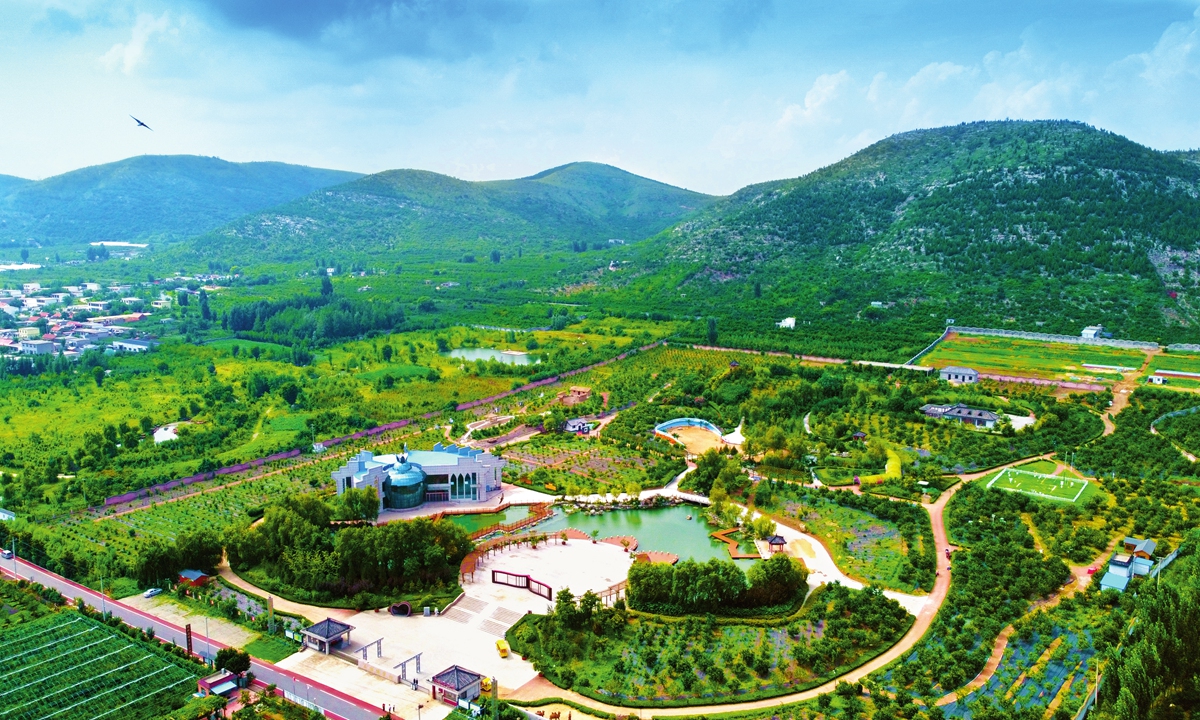 Pomegranates color life with prosperity