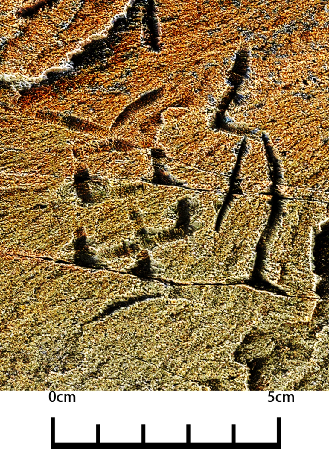 A character on the <em>Garitang Keshi</em>  Photo: Courtesy of the National Cultural Heritage Administration