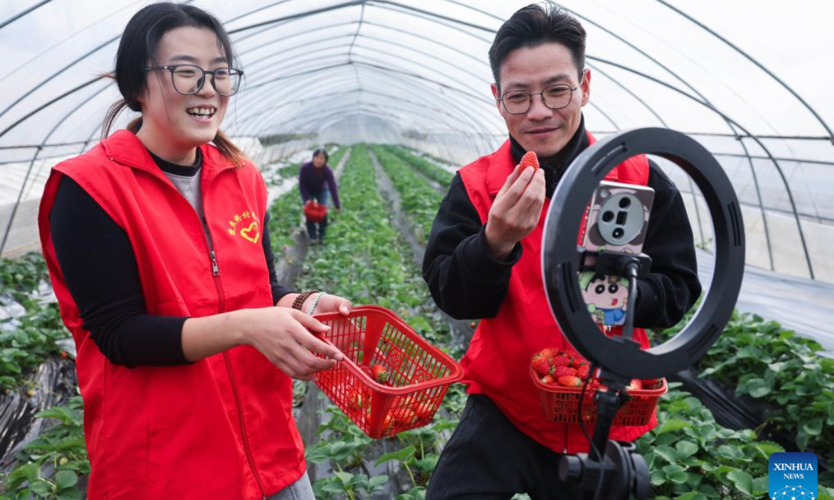 Volunteers promote local agricultural products via live-streaming at a farm in Bianminqiao Village of Heping Town in Changxing County of Huzhou City, east China's Zhejiang Province, Dec. 4, 2025. In recent years, Heping Town has been promoting the modernization, standardization, professionalization and digitalization of its agricultural industry to effectively improve the quality of local agricultural products. What's more, relying on its modern agricultural resources, Heping Town also strives to develop its rural tourism industry through various activities like fruits leisure picking and vegetable and fruits study and research tours. (Xinhua/Xu Yu)