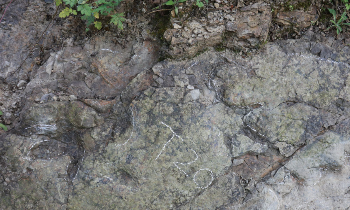 Multiple footprints on a sedimentary rock wall Photo: Xinhua News Agency