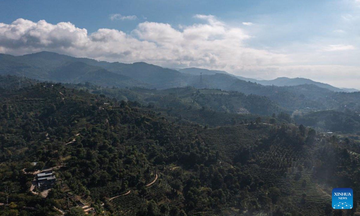 This aerial drone photo taken on Dec. 6, 2025 shows a view of coffee fields in Pu'er City, southwest China's Yunnan Province, Dec. 6, 2025. Pu'er now has 703,900 mu (about 46,927 hectares) of coffee under cultivation, with an annual bean output of 84,000 tonnes. (Xinhua/Wang Guansen)