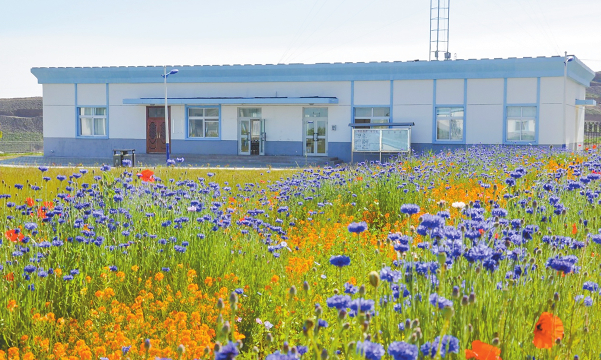 Flowers bloom at the 737 Factory. Photo: Courtesy of China National Nuclear Corporation