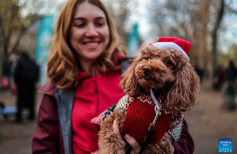 A dog and its owner participate in an annual Santa Dog Walk event at the City Park in Budapest, Hungary on Dec. 6, 2025. The Christmas-themed event brings together dog owners from across the city for a seasonal walk, promoting responsible pet ownership and encouraging outdoor activities for families and their pets. (Photo by David Balogh/Xinhua)