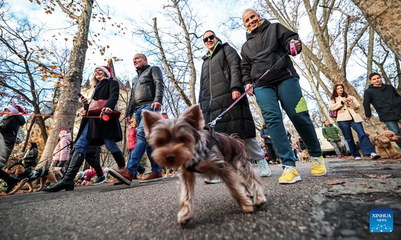 Participants walk with their dogs during an annual Santa Dog Walk event at the City Park in Budapest, Hungary on Dec. 6, 2025. The Christmas-themed event brings together dog owners from across the city for a seasonal walk, promoting responsible pet ownership and encouraging outdoor activities for families and their pets. (Photo by David Balogh/Xinhua)