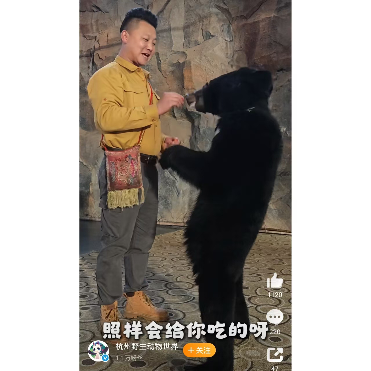 The official social media account of Hangzhou Safari Park released a video provided an update on the situation on December 6, 2025 showing The bear and the keeper have since reconciled. Photo: Screenshot from the official social media account of Hangzhou Safari Park