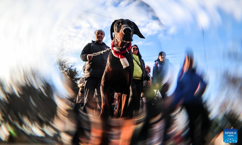 Participants walk with their dog during an annual Santa Dog Walk event at the City Park in Budapest, Hungary on Dec. 6, 2025. The Christmas-themed event brings together dog owners from across the city for a seasonal walk, promoting responsible pet ownership and encouraging outdoor activities for families and their pets. (Photo by David Balogh/Xinhua)