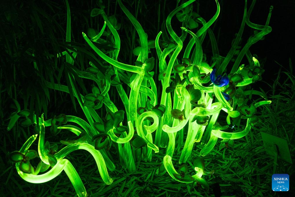 A glass installation is pictured during the exhibition Crystal Garden: A Glass Symphony at the Prague Botanical Garden in Prague, the Czech Republic, Dec. 7, 2025.
Dozens of works inspired by plants and animals are displayed during the exhibition, which stays on until Feb. 8, 2026. (Photo by Dana Kesnerova/Xinhua)