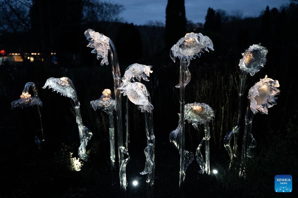 A glass installation is pictured during the exhibition Crystal Garden: A Glass Symphony at the Prague Botanical Garden in Prague, the Czech Republic, Dec. 7, 2025.
Dozens of works inspired by plants and animals are displayed during the exhibition, which stays on until Feb. 8, 2026. (Photo by Dana Kesnerova/Xinhua)