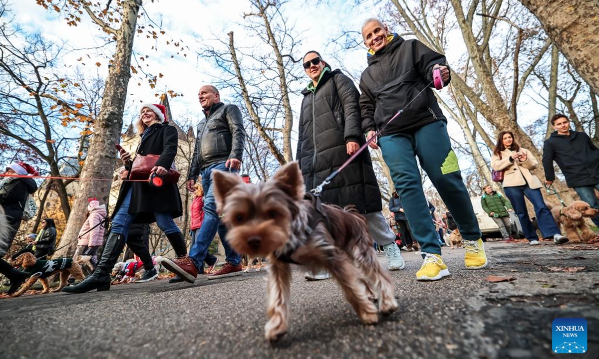 Participants walk with their dogs during an annual Santa Dog Walk event at the City Park in Budapest, Hungary on Dec. 6, 2025. The Christmas-themed event brings together dog owners from across the city for a seasonal walk, promoting responsible pet ownership and encouraging outdoor activities for families and their pets. (Photo by David Balogh/Xinhua)