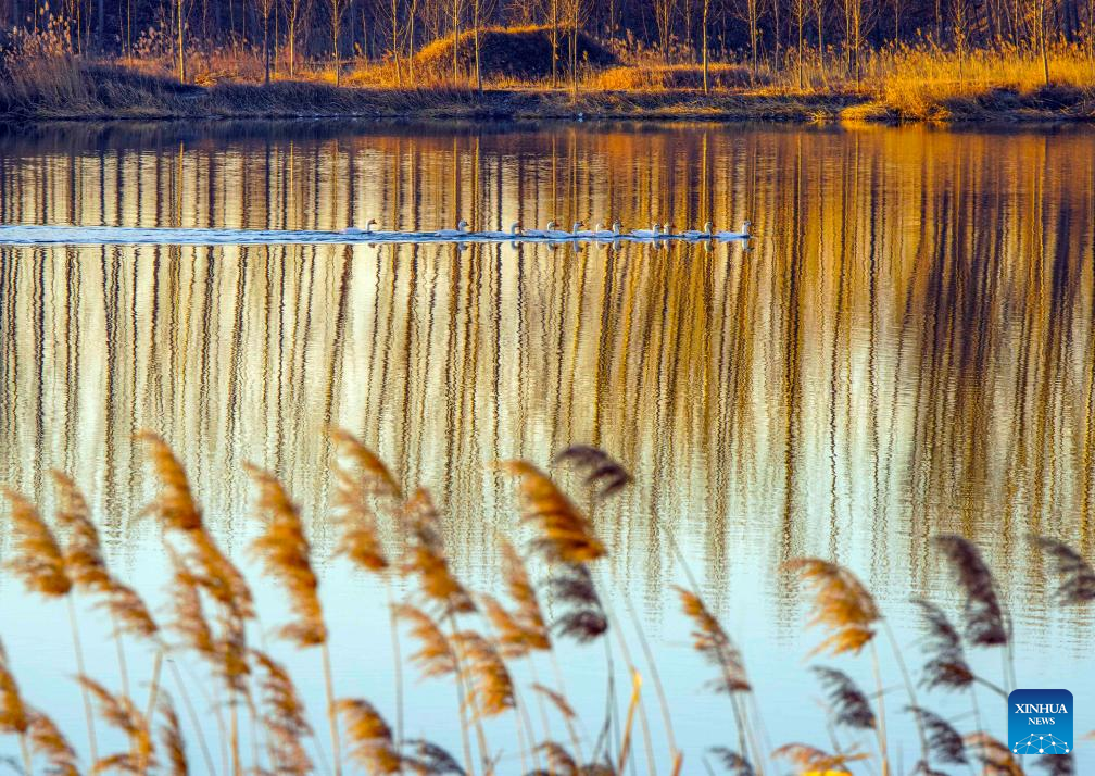 A drone photo taken on Dec. 8, 2025 shows a winter view in Zunhua City, north China's Hebei Province. (Photo by Liu Mancang/Xinhua)