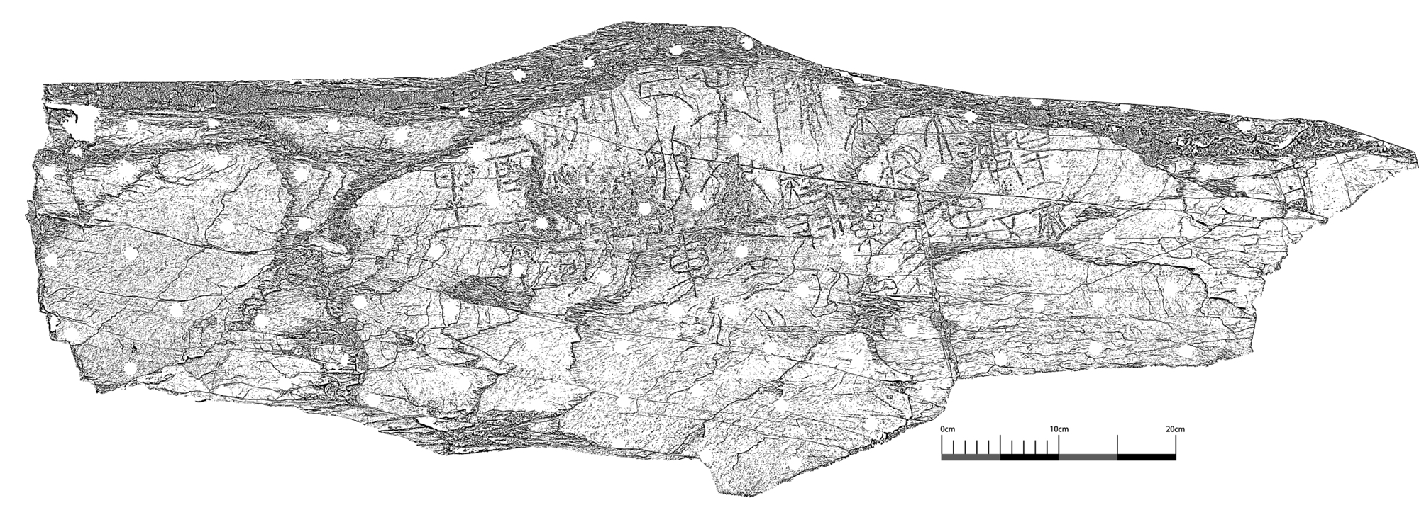 High-definition digital line drawing of the Garitang Engraved Stone  Photo: Courtesy of the National Cultural Heritage Administration