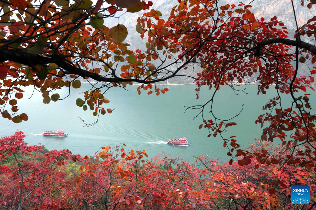 An aerial drone photo taken on Dec. 7, 2025 shows the scenery of Wuxia Gorge, one of the Three Gorges on the Yangtze River, in southwest China's Chongqing. (Photo by Wang Zhonghu/Xinhua)
