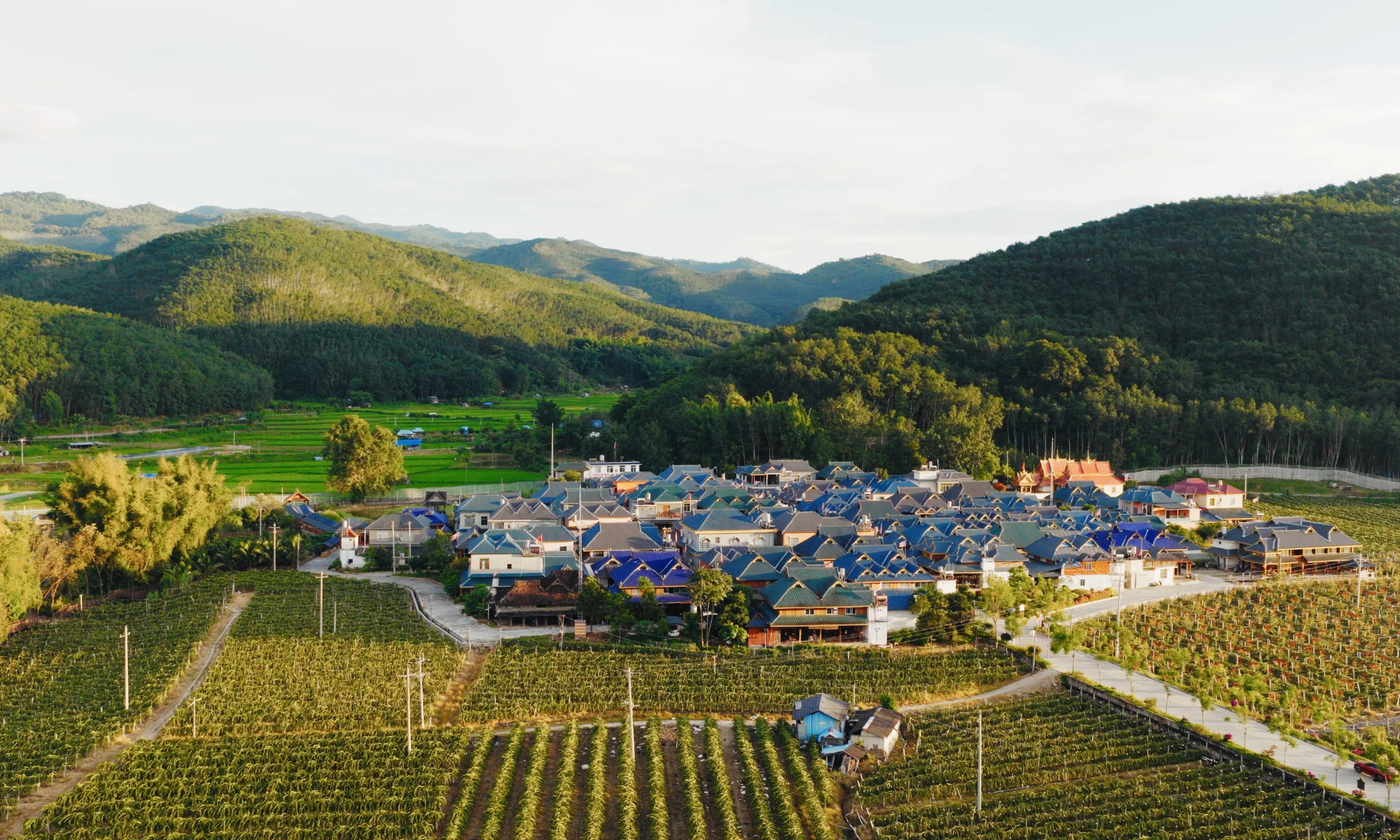 An aerial view of Longli village. Photo: Courtesy of Border Control Brigade of Xishuangbanna