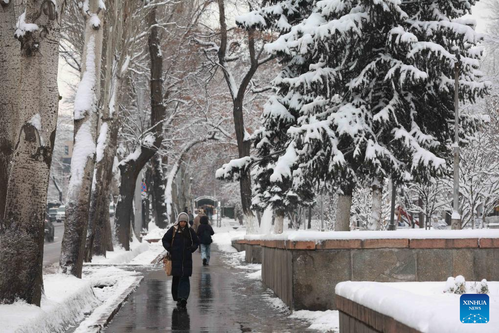 This photo taken on Dec. 10, 2025 shows a street view after snow in Bishkek, Kyrgyzstan. (Photo by Roman/Xinhua)