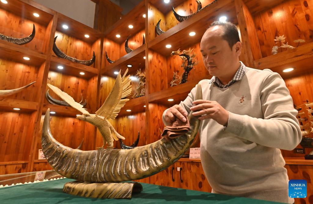 Long Shunzhou, an inheritor of the Wuling ox horn carving technique, cares for an ox horn artwork in Wuling Town of Binyang County, south China's Guangxi Zhuang Autonomous Region, Dec. 16, 2025. The Wuling ox horn carving technique of Binyang County is a local traditional craft with a history of over three centuries. In recent years, Binyang County has been encouraging industrial innovation in the development of ox corn products such as combs, massage hammers, tea sets and pen caps. Every year, some six million ox horn products are produced in the county with considerable market acceptance. (Xinhua/Lu Boan)