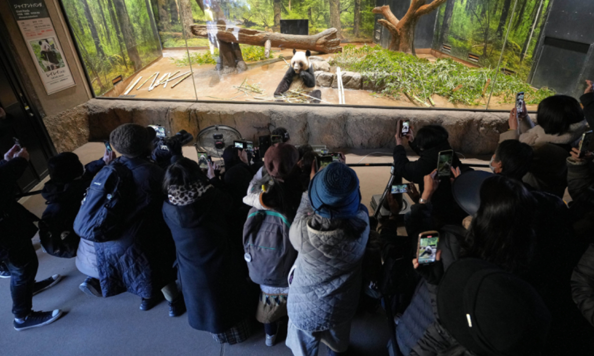 Visitors watch giant panda Lei Lei at Ueno Zoo in Tokyo on December 16, 2025, a day after Japan announced the pandas will be returned to China in January 2026. Photo: VCG