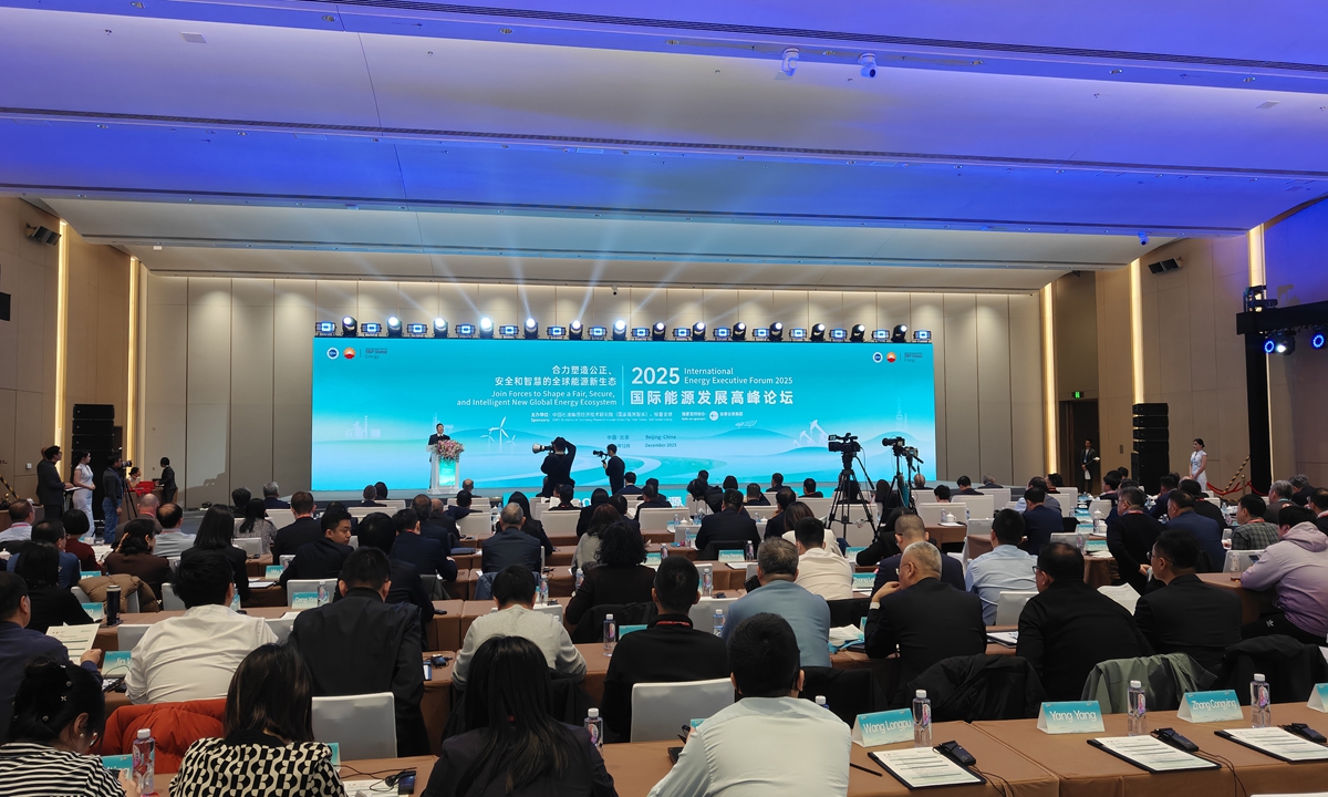 China 'dominant in global green energy transition,' vice chairperson of S&P Global tells GT