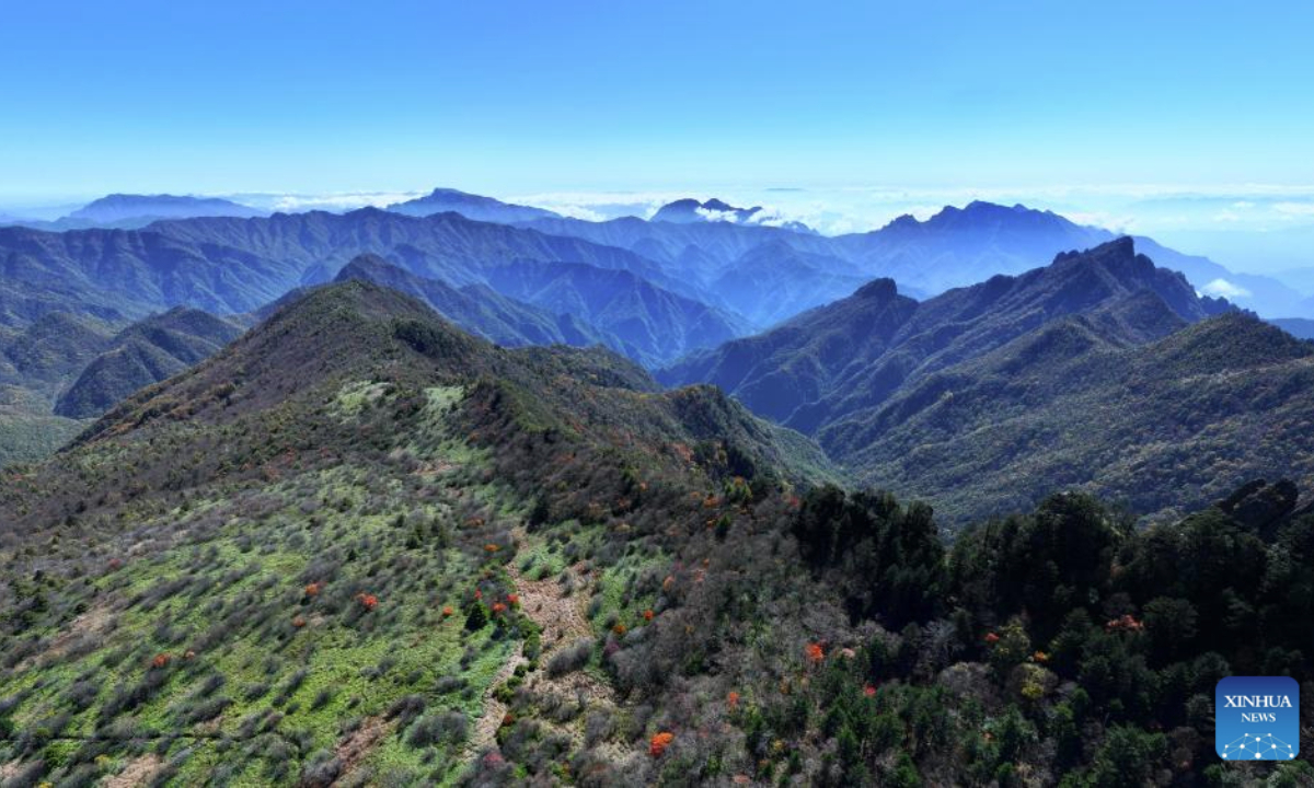 This photo taken on June 13, 2025 shows a view of Badong Golden Monkey National Nature Reserve in central China's Hubei Province. (Photo by Wu Yihong/Xinhua)