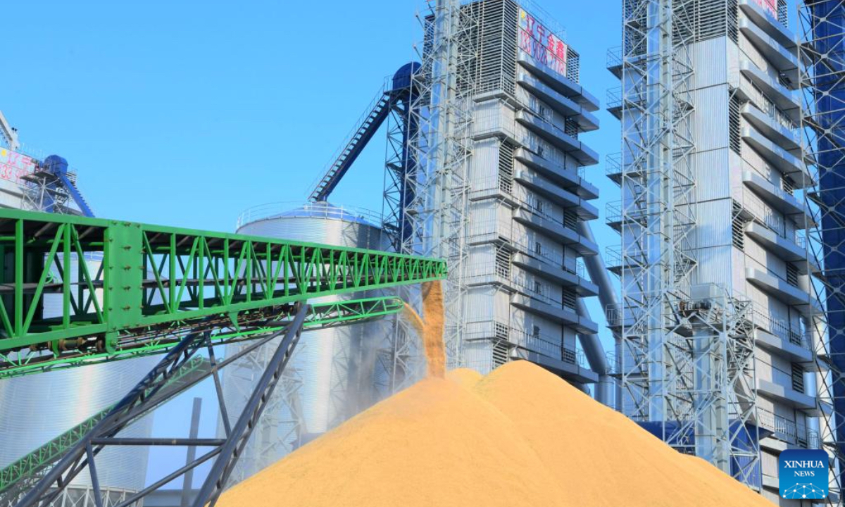A conveyor belt transports grain at a grain storage company in Tangyuan County, northeast China's Heilongjiang Province, Nov. 12, 2025. Heilongjiang Province, a major grain producer in northeast China, saw its 22nd bumper harvest with a record-breaking grain output reaching 82 million tonnes this year, data from the National Bureau of Statistics (NBS) showed on Friday. After surpassing 80 million tonnes in total grain production in 2024, Heilongjiang has once again topped the record this year, marking its 16th straight year as the top grain-producing region in China, according to the provincial agriculture and rural affairs department. (Photo by Gu Jingkun/Xinhua)