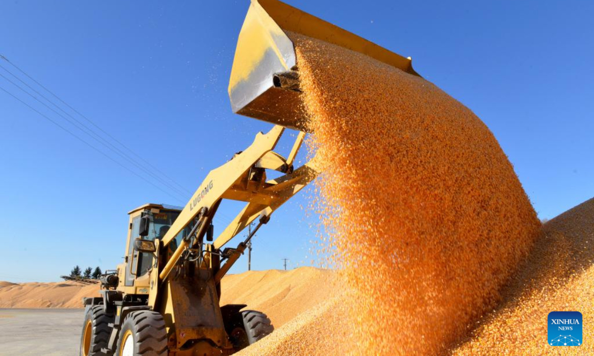 A staff member operates a shovel loader to arrange dried corn kernels at a factory of a farming company under Beidahuang Group in northeast China's Heilongjiang Province, Oct. 23, 2025. Heilongjiang Province, a major grain producer in northeast China, saw its 22nd bumper harvest with a record-breaking grain output reaching 82 million tonnes this year, data from the National Bureau of Statistics (NBS) showed on Friday. After surpassing 80 million tonnes in total grain production in 2024, Heilongjiang has once again topped the record this year, marking its 16th straight year as the top grain-producing region in China, according to the provincial agriculture and rural affairs department. (Photo by Lu Wenxiang/Xinhua)