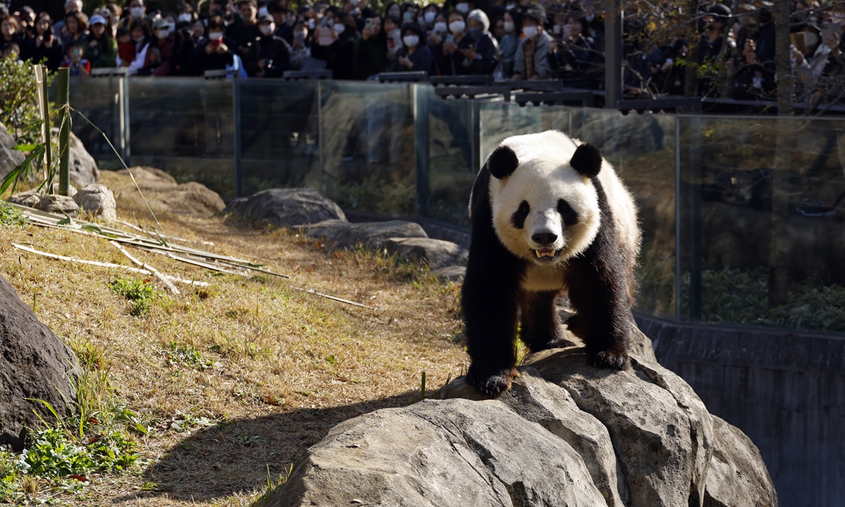 Visitors snap photos of twin giant panda cubs Xiao Xiao (L) and Lei Lei, who are learning to live separately from their mother Shin Shin, at Tokyo's Ueno Zoological Gardens on March 22, 2023.Photo: VCG