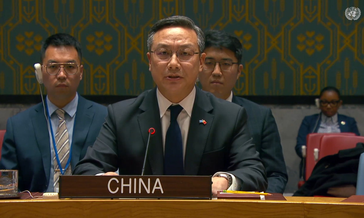 Sun Lei, China's deputy permanent representative to the United Nations. Photo: screenshot from UN website