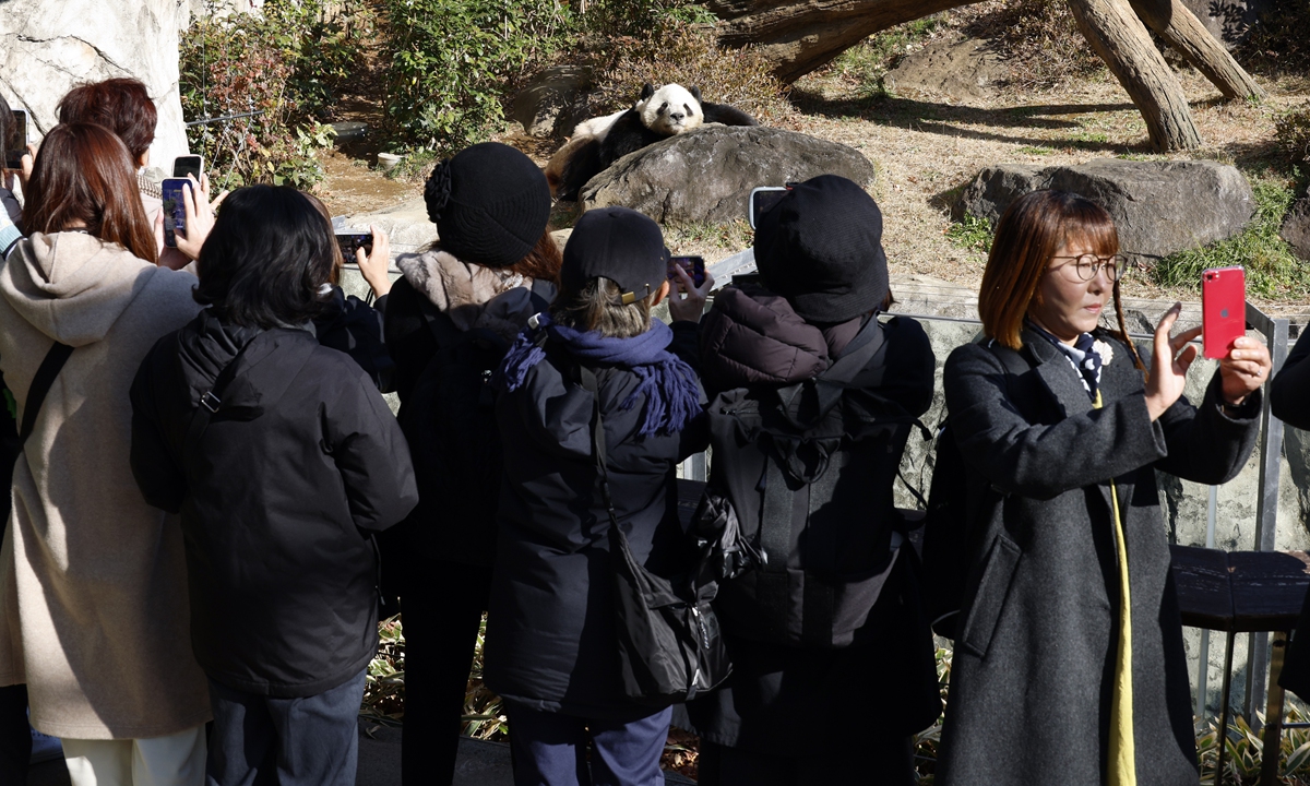 Tourists visit giant panda Xiao Xiao at Ueno Zoological Gardens in Tokyo, Japan on December 16, 2025. Twin pandas at the zoo are set to be returned to China in late January, leaving none in the country for the first time in around half a century, Kyodo News reported on Monday. Photo: IC