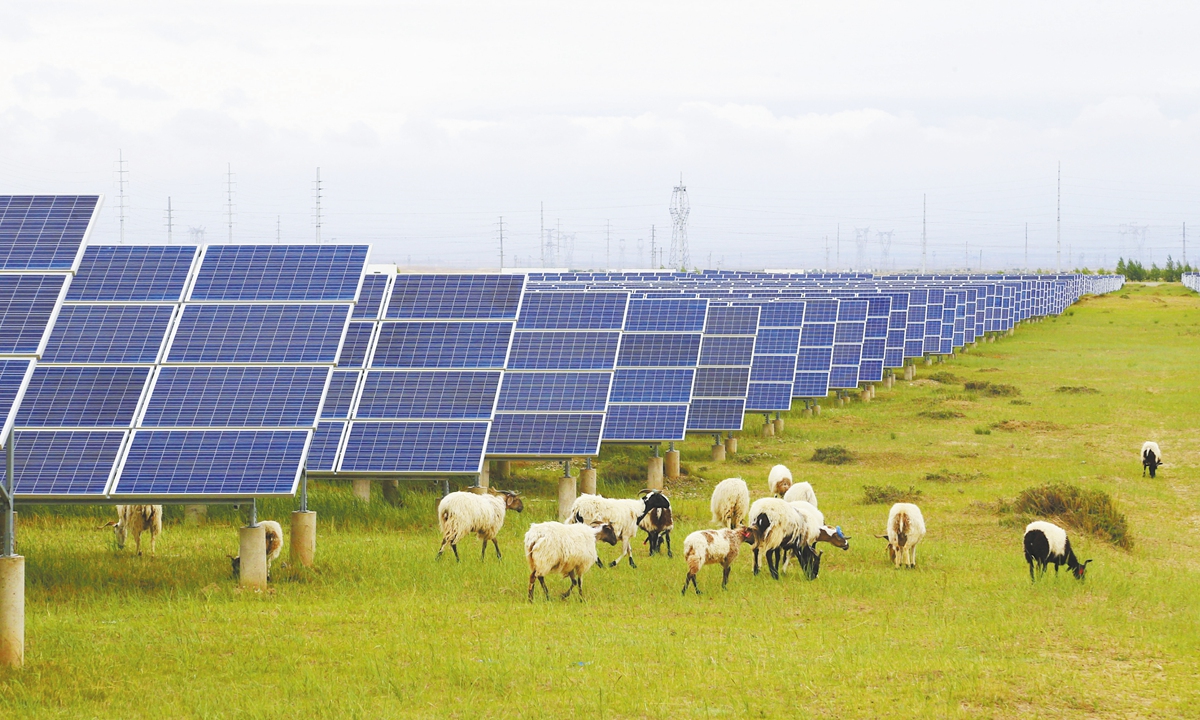 A fl ock of sheep graze at the photovoltaic park in the Talatan Gobi Desert in the Hainan Tibetan Autonomous Prefecture, Northwest China's Qinghai Province. File photo: VCG