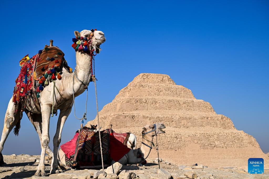 Camels are seen in front of the Step Pyramid in the Saqqara necropolis, Giza, Egypt, Dec. 18, 2025. (Xinhua/Xin Mengchen)