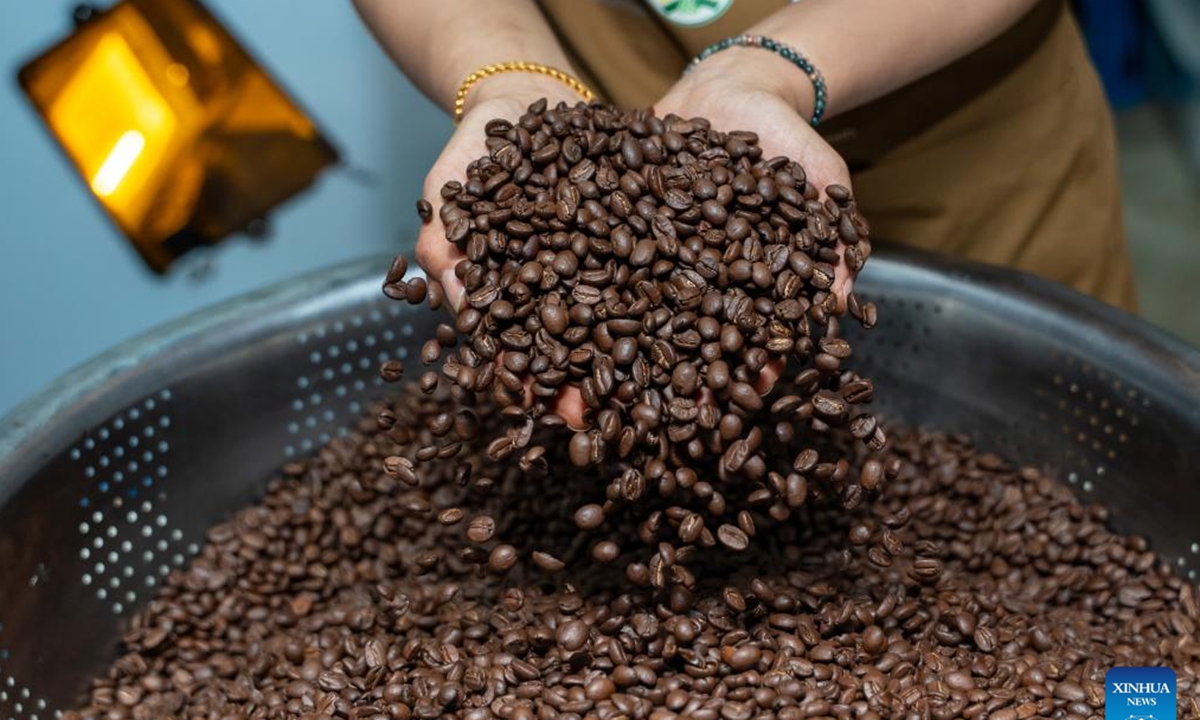 A coffee roaster presents freshly roasted coffee beans at a coffee plantation in Champasak Province, Laos, Dec. 17, 2025. Laos is currently in the coffee bean harvest season, and farmers are seizing the sunny weather to pick and process coffee beans. (Photo by Kaikeo Saiyasane/Xinhua)