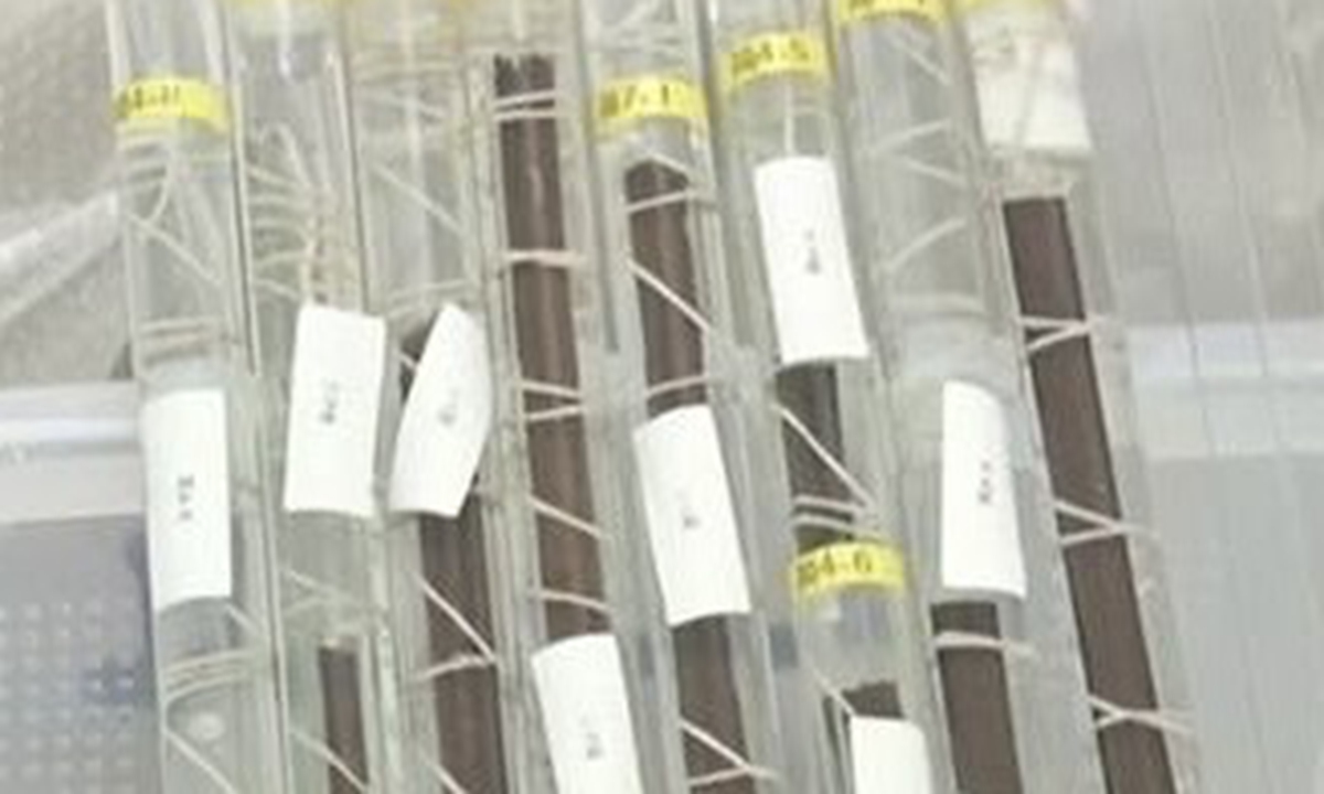 The flute-like reed instruments discovered and restored by Chinese archaeologists from Wuwangdun tomb in Huainan, East China's Anhui Province Photo: Screenshot from website