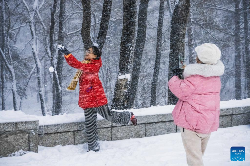 People enjoy the snow view at a park in Changchun, northeast China's Jilin Province, Dec. 23, 2025. Changchun on Tuesday experienced snowfalls due to the impact of a new cold front. (Xinhua/Xu Chang)