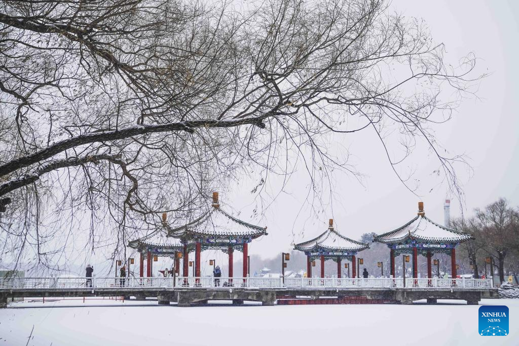 People enjoy the snow view at a park in Changchun, northeast China's Jilin Province, Dec. 23, 2025. Changchun on Tuesday experienced snowfalls due to the impact of a new cold front. (Xinhua/Xu Chang)