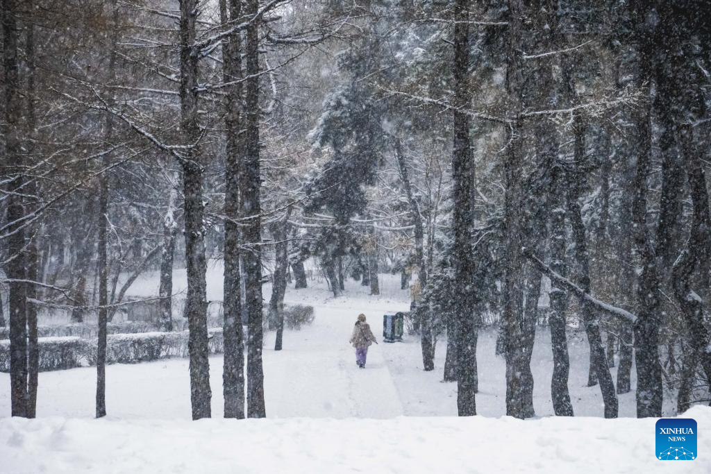 A citizen walks amid snow in Changchun, northeast China's Jilin Province, Dec. 23, 2025. Changchun on Tuesday experienced snowfalls due to the impact of a new cold front. (Xinhua/Xu Chang)