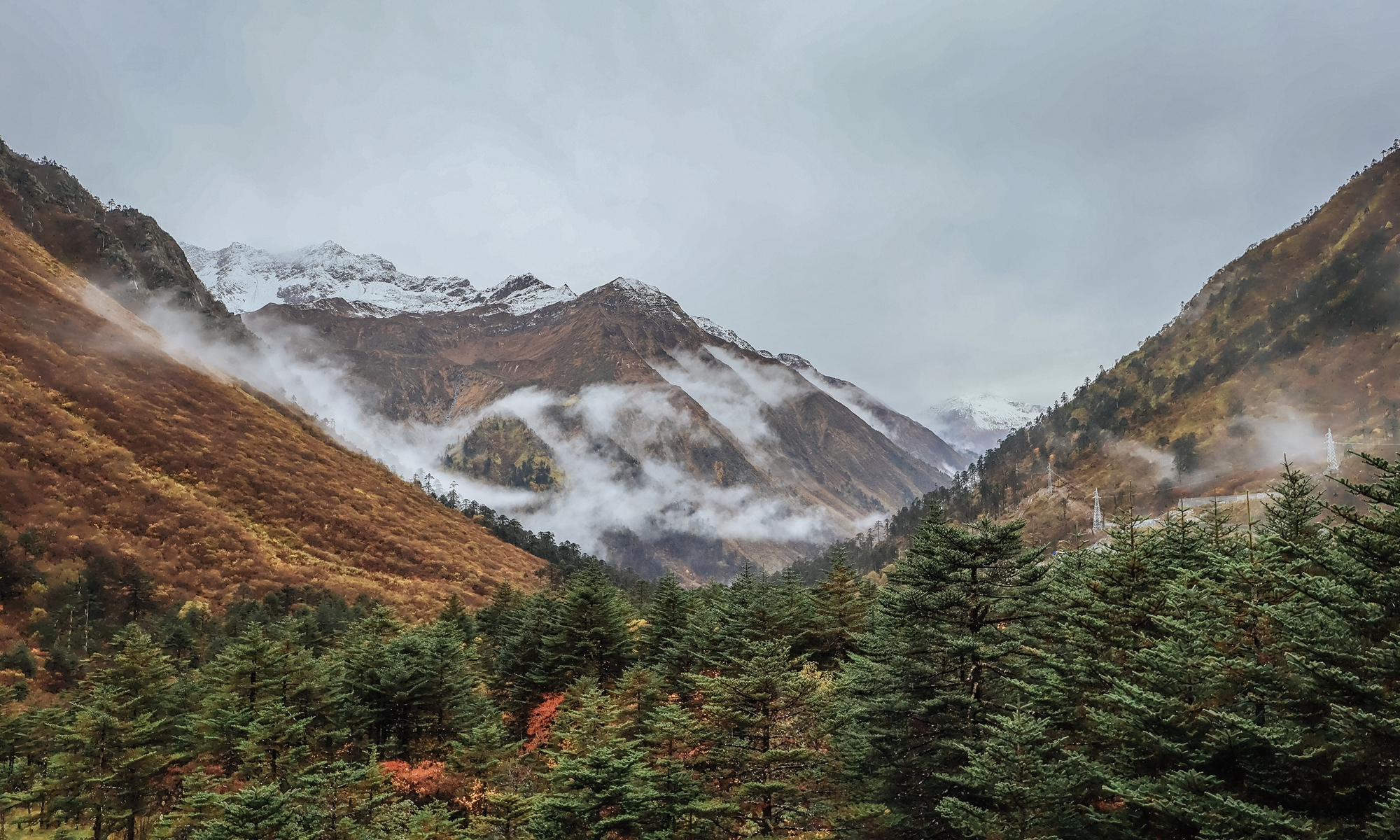 Medog, Nyingchi, Southwest China's Xizang Autonomous Region 