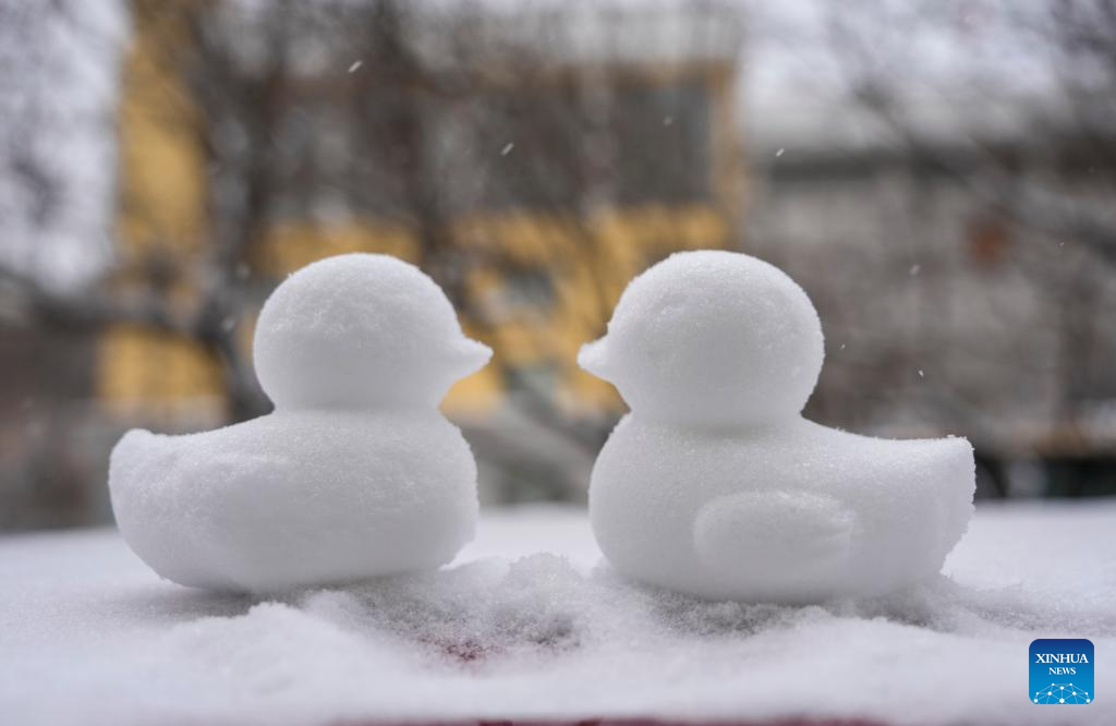 Two snow-made ducks are seen on a street in Harbin, northeast China's Heilongjiang Province, Dec. 23, 2025. The meteorological observatory of Harbin issued a yellow alert for blizzard on Tuesday. (Xinhua/Wang Jianwei)
