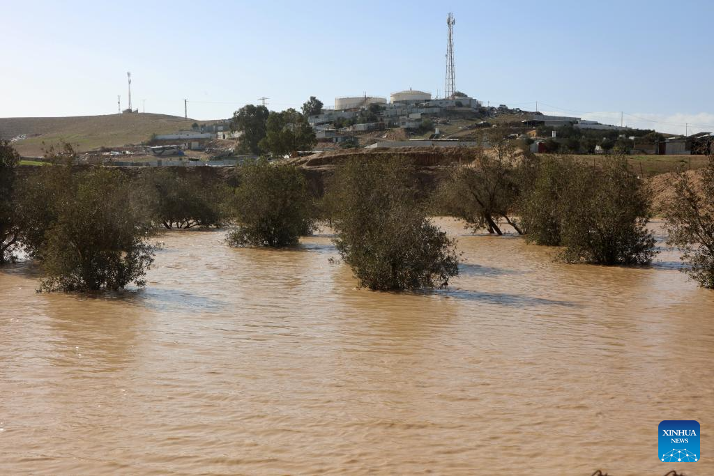 This photo taken on Dec. 28, 2025 shows trees submerged in floodwater in southern Israel. Israel's winter rainy season frequently brings floods. (Photo by Gil Cohen Magen/Xinhua)