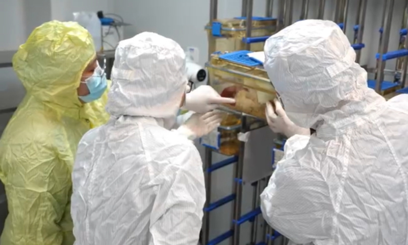 Space-traveling mouse births pups after returning to Earth: report