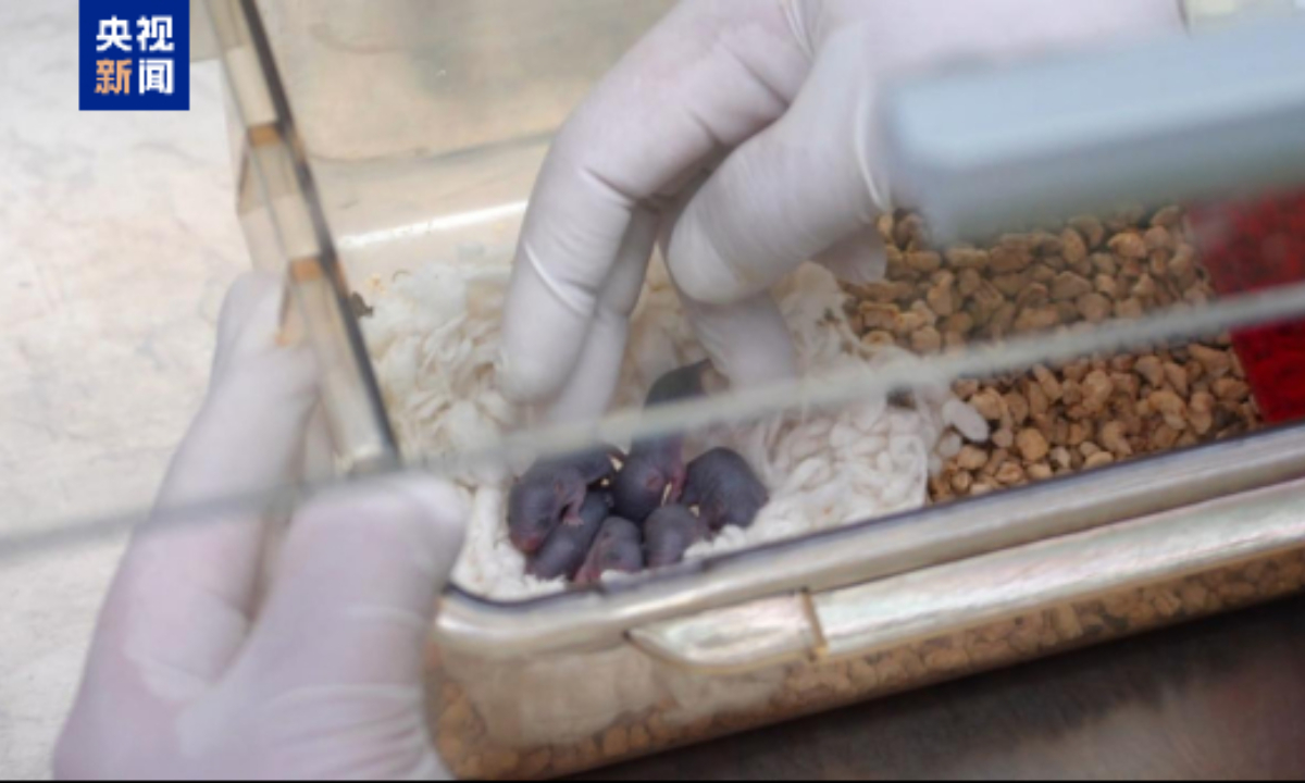 Photo: screenshot from CCTV