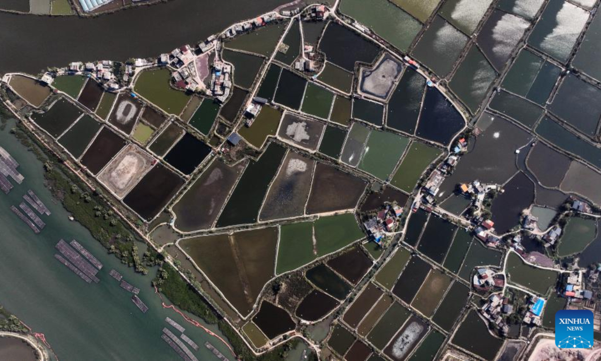 An aerial drone photo taken on Dec. 27, 2025 shows the winter scenery of the Maowei Sea in Qinzhou, south China's Guangxi Zhuang Autonomous Region. In winter, the Maowei Sea in Guangxi presents picturesque scenery. In recent years, Guangxi has implemented high-standard ecological protection of the marine environment in the Beibu Gulf, transforming the Maowei Sea into a new cultural and tourism landmark. (Xinhua/Zhang Ailin)