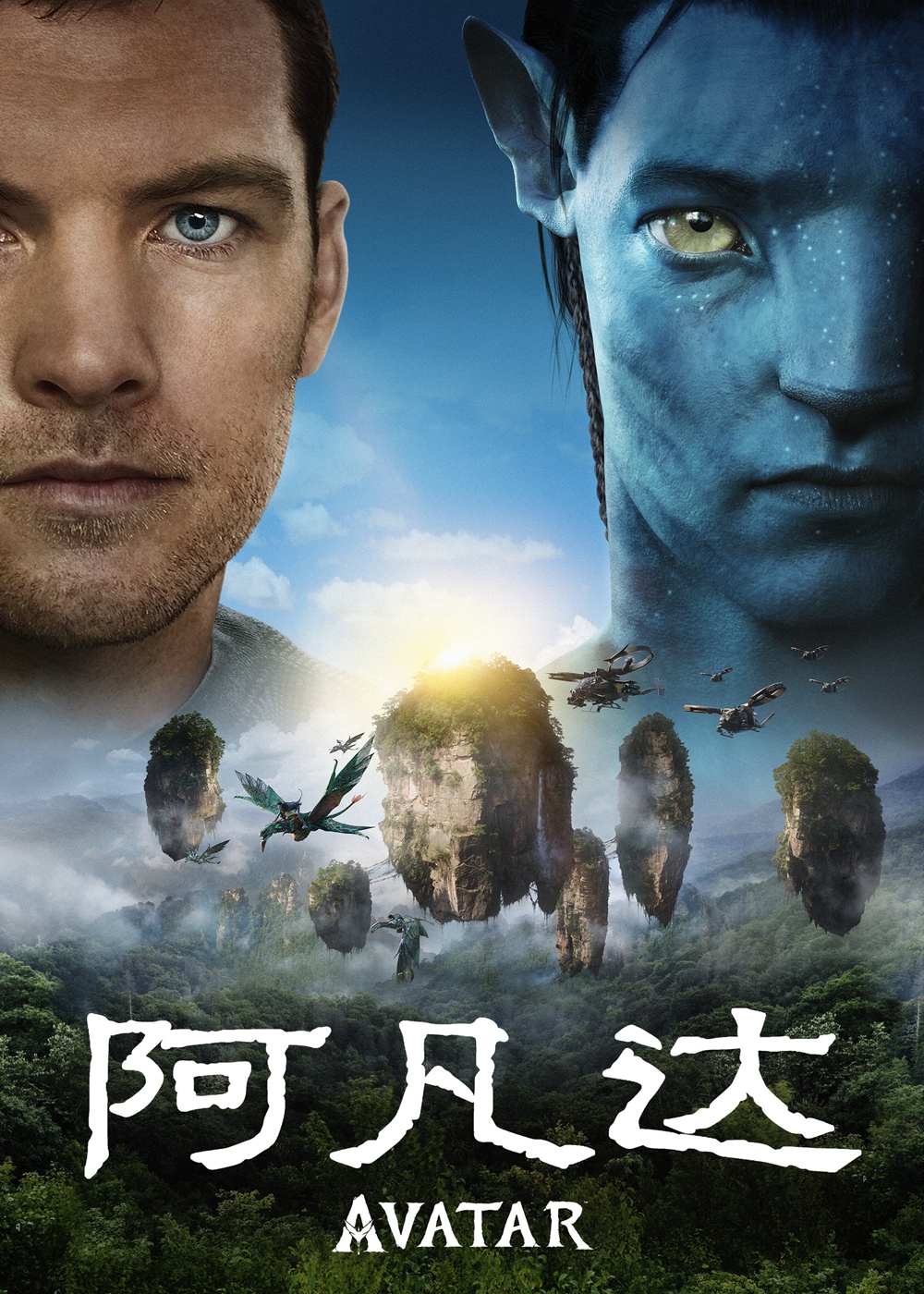 Promotional material for <em>Avatar</em> Photo: Courtesy of Douban
