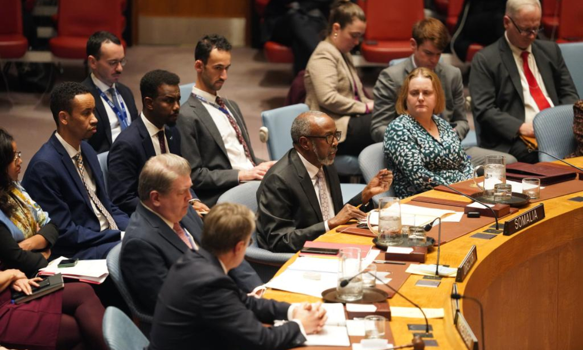 Somali UN ambassador Abukar Dahir Osman (C, front) speaks at an emergency meeting of the Security Council at the UN headquarters in New York, on Dec. 29, 2025. (Xinhua/Zhang Fengguo)